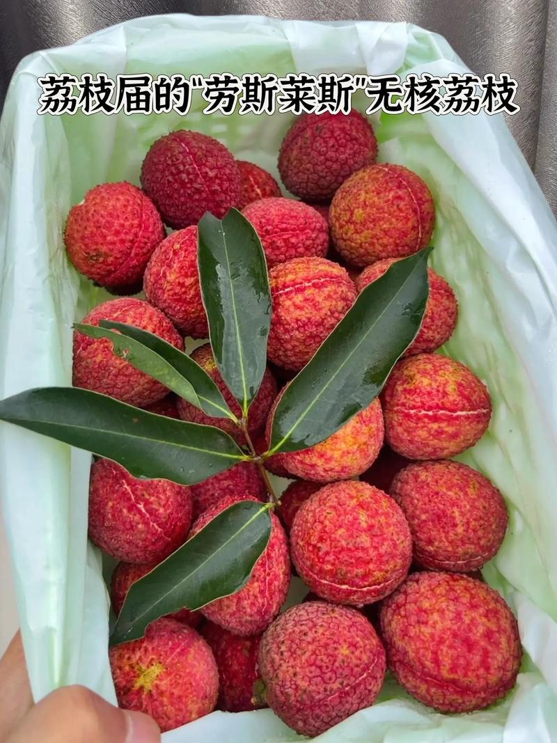 無核荔枝!口感清甜無籽,果香濃郁!我超愛吃的