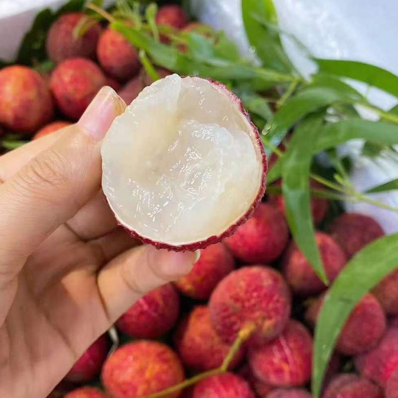 順豐包郵 海南無核荔枝 當季新鮮孕婦水果